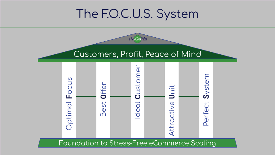 The FOCUS System